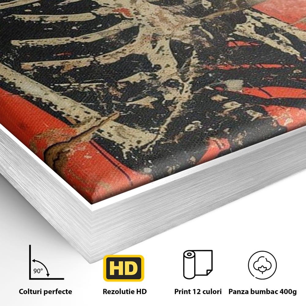 Detaliu al suprafetei: tablou canvas cu schelet si carte de joc, in rama de aluminiu argintiu